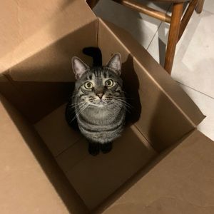 Meet your Posher, Maria